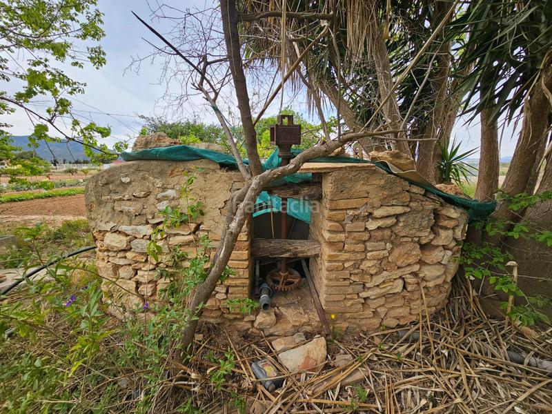 Foto 4b768115-bb81-4b0c-b59a-7e58d308e664. Bauernhof in Eucaliptus - Poble Nou del Delta Amposta