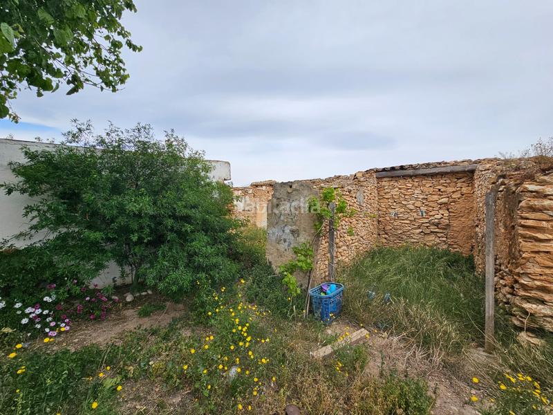 Foto 60975f14-5626-43b2-9af7-63565dc4b2e2. Bauernhof in Eucaliptus - Poble Nou del Delta Amposta