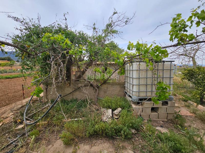 Foto 73cfa587-4493-4684-b353-433eb9e85f45. Bauernhof in Eucaliptus - Poble Nou del Delta Amposta