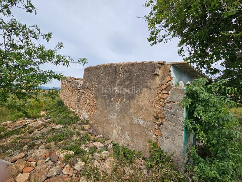 Foto 7fbb6bdd-264a-4c0c-9ce6-e6f105e93956. Bauernhof in Eucaliptus - Poble Nou del Delta Amposta