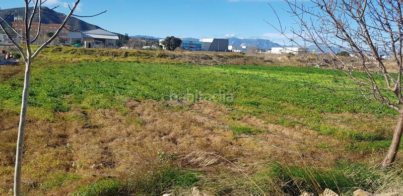 Foto 8ea33a68-15bc-429a-99d1-44092c027a6a. Bauernhof in Eucaliptus - Poble Nou del Delta Amposta