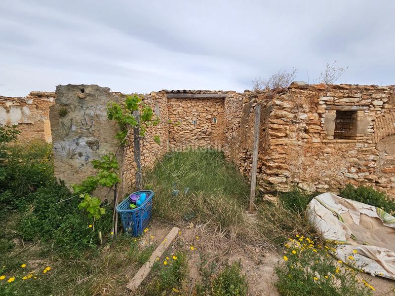 Foto 90ce707d-e6c5-4f98-a250-614aa6d4832e. Bauernhof in Eucaliptus - Poble Nou del Delta Amposta