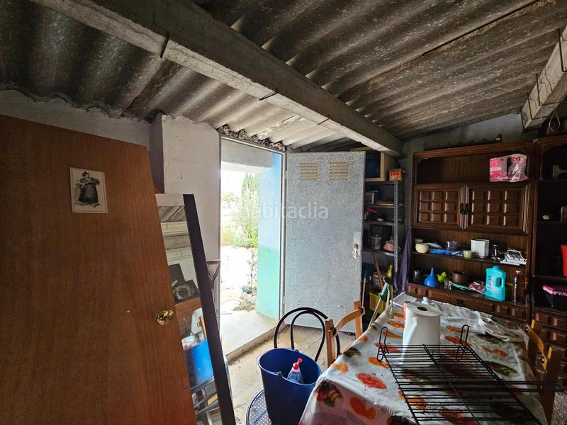 Foto 9631991a-ec6f-4a30-88df-603581a7c9d4. Bauernhof in Eucaliptus - Poble Nou del Delta Amposta