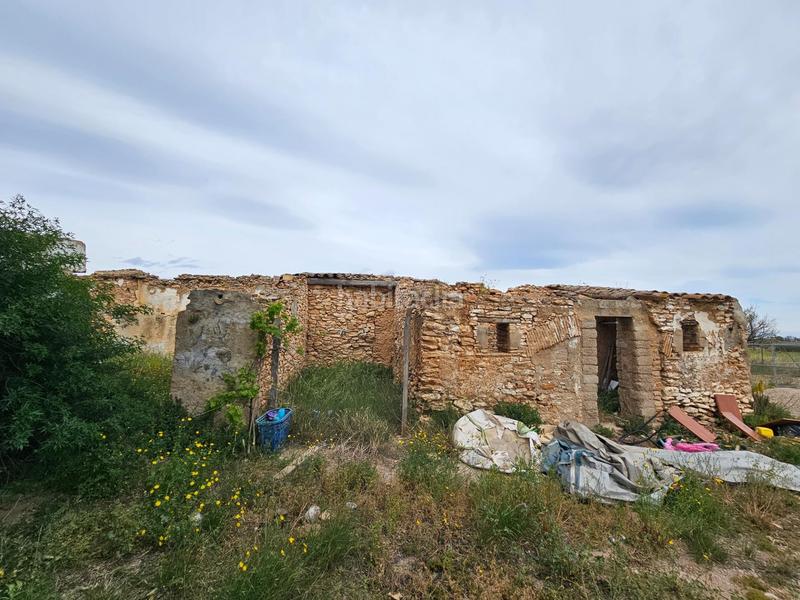 Foto a6128935-8498-4513-b66e-0a4d0a5f7c0c. Bauernhof in Eucaliptus - Poble Nou del Delta Amposta