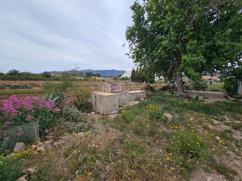 Foto a6fda1ef-53aa-4aa5-a864-88458ceaa770. Bauernhof in Eucaliptus - Poble Nou del Delta Amposta