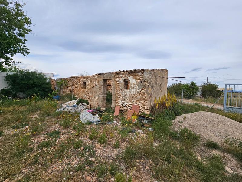 Foto a9a6ae0e-5ad4-4bb0-ae7c-a8a7eb24d678. Bauernhof in Eucaliptus - Poble Nou del Delta Amposta