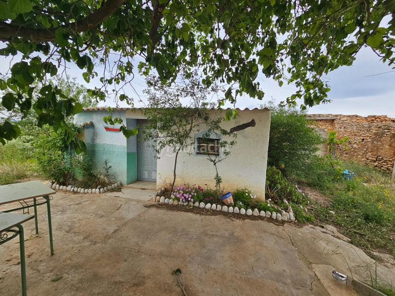 Foto b310f379-3479-4992-b05a-6e3c78b866e1. Bauernhof in Eucaliptus - Poble Nou del Delta Amposta