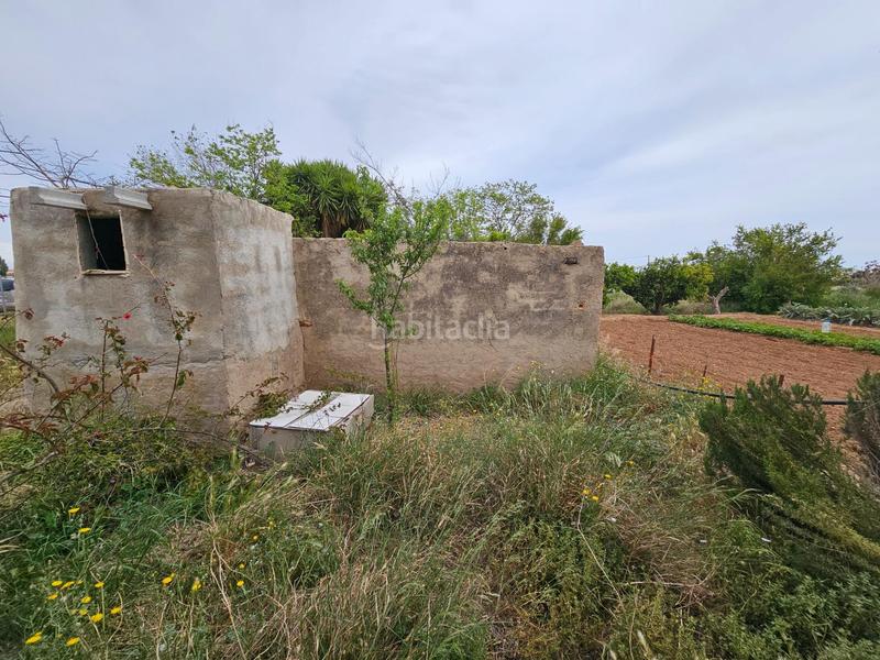 Foto c089589c-1808-4986-b5ac-059af0bfea97. Bauernhof in Eucaliptus - Poble Nou del Delta Amposta