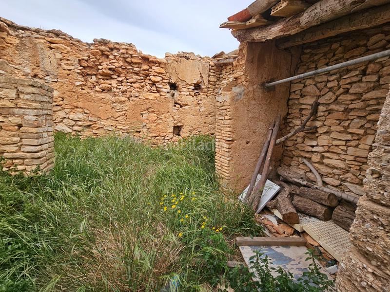 Foto c0cf4255-454e-4158-837b-d1909f53f786. Bauernhof in Eucaliptus - Poble Nou del Delta Amposta