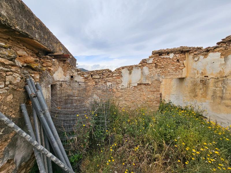 Foto ca273bb4-9c5b-4210-bd5d-f23037439229. Bauernhof in Eucaliptus - Poble Nou del Delta Amposta