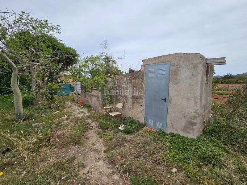 Foto d6f6800c-c6bc-4d8c-a842-e7c4475ad6a8. Bauernhof in Eucaliptus - Poble Nou del Delta Amposta