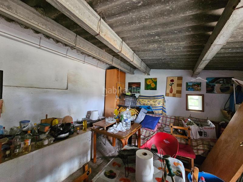 Foto dace4617-62e2-45cc-91db-e68eeee53fa6. Bauernhof in Eucaliptus - Poble Nou del Delta Amposta