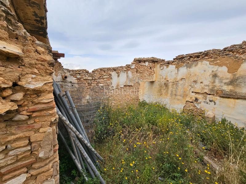 Foto de0285c8-7d16-4536-8d9b-51a12810db33. Bauernhof in Eucaliptus - Poble Nou del Delta Amposta