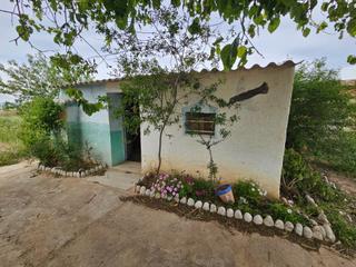 Country house in Eucaliptus - Poble Nou del Delta. Finca rústica cerca de amposta con casa para reformar