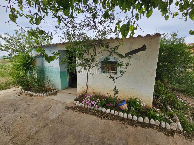 Foto dfe5773a-370f-449a-aab3-9c617e0829e5. Bauernhof in Eucaliptus - Poble Nou del Delta Amposta