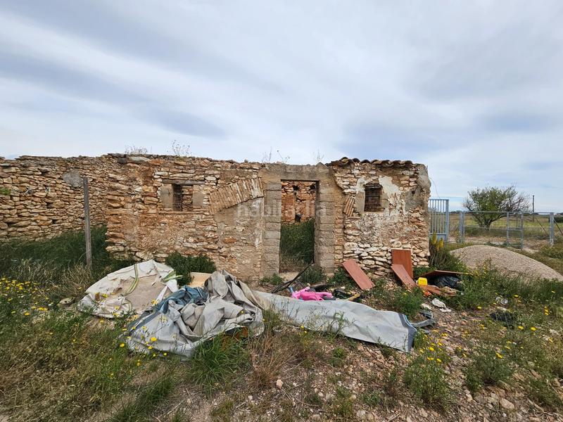 Foto f1aba97e-06a3-499e-91f1-ee2c89ebee3e. Bauernhof in Eucaliptus - Poble Nou del Delta Amposta