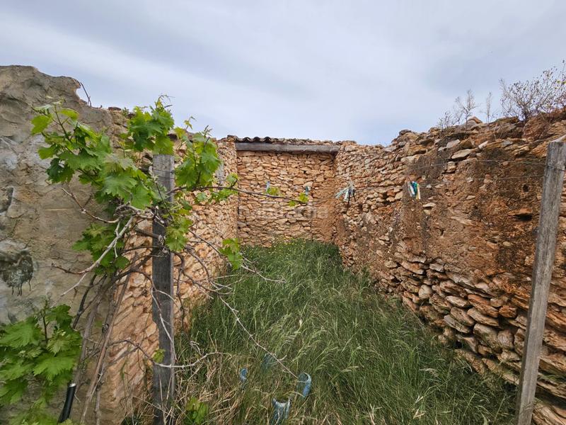 Foto f72fe418-1b71-440c-9622-7fa7b6c6eb3c. Bauernhof in Eucaliptus - Poble Nou del Delta Amposta