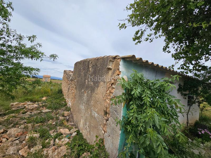 Foto fa9dcd22-ee3f-4340-b9ac-6e32a935f942. Bauernhof in Eucaliptus - Poble Nou del Delta Amposta