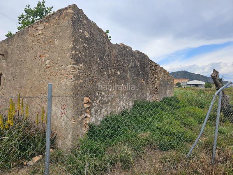 Foto fc3d4691-a591-42f9-b7fa-cab491bb14d4. Bauernhof in Eucaliptus - Poble Nou del Delta Amposta