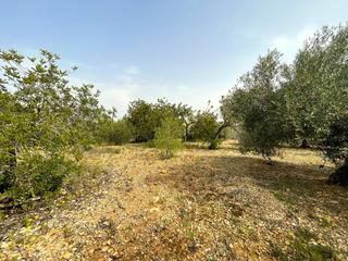 Landgut in Nord. Finca rústica la ràpita