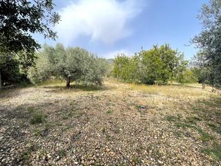 Landgut in Nord. Finca rústica la rápita