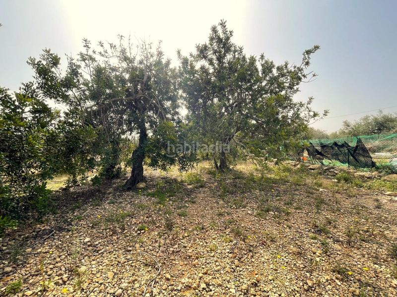 Foto 239ebc93-115a-48f0-ad47-4638d9976bed. Fondo rustico in Nord Sant Carles de la Ràpita