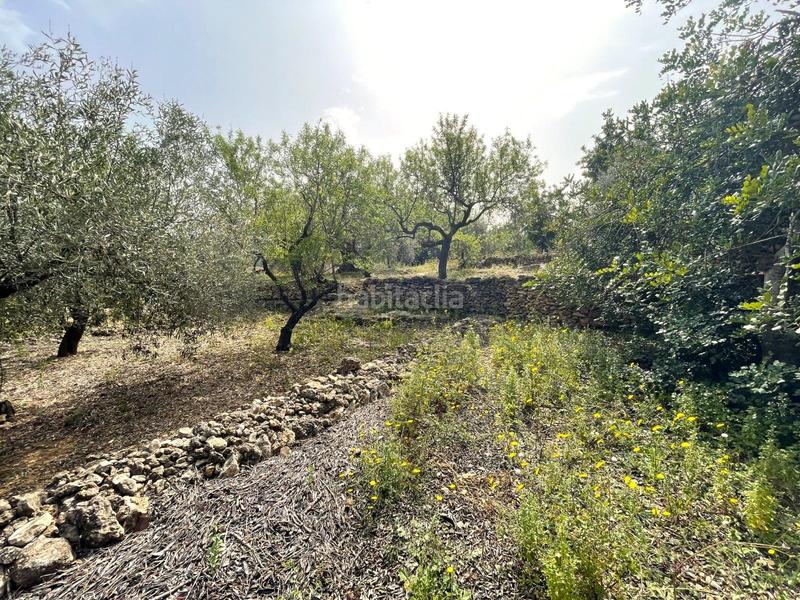 Foto 48936b50-ebaa-406a-ad41-ade8845b2197. Fondo rustico in Nord Sant Carles de la Ràpita