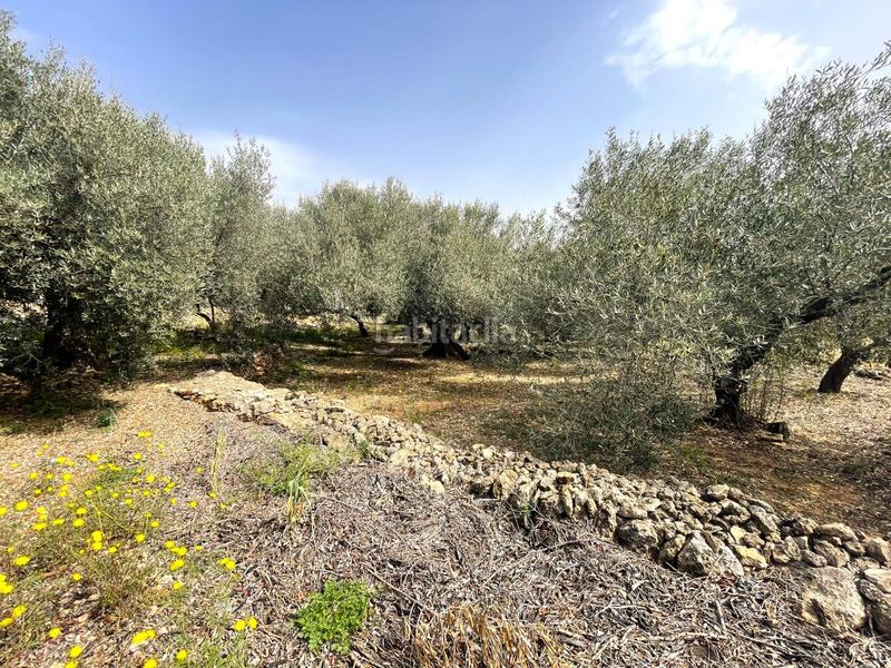 Foto 9b75131f-95e6-4881-a69c-47b509b502f7. Fondo rustico in Nord Sant Carles de la Ràpita