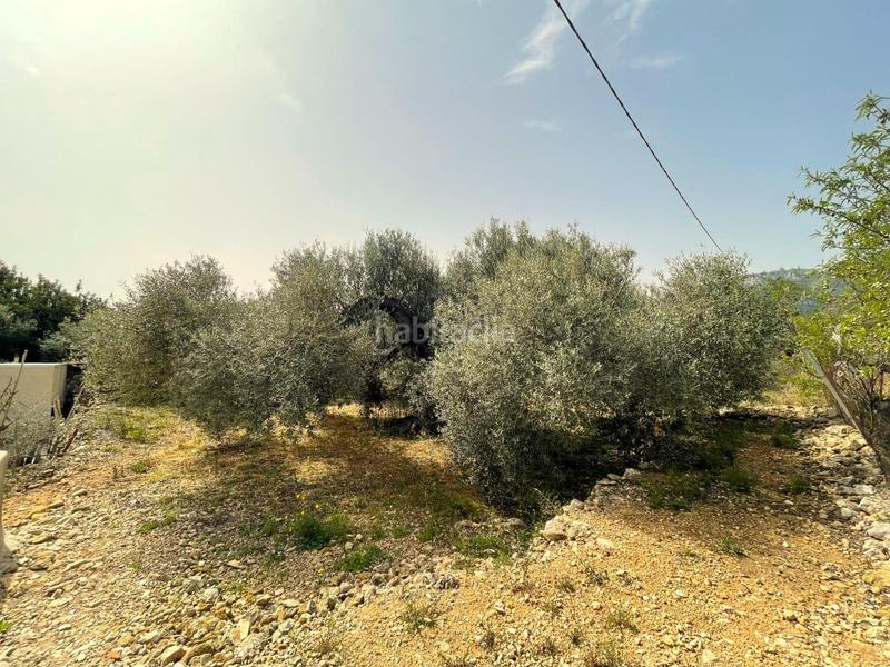 Foto a1125dc4-7cfb-4d4e-b0ac-b6038eff14c2. Fondo rustico in Nord Sant Carles de la Ràpita