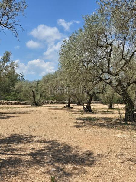 Foto 45bf9678-0a60-4ea2-86b2-60eeed59163b. Finca rústica  en Mas de Barberans