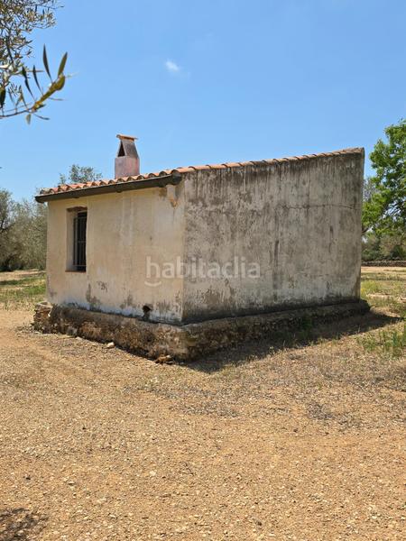 Foto 4dea9ee1-35c6-49aa-bba5-c8471406444a. Finca rústica  en Mas de Barberans