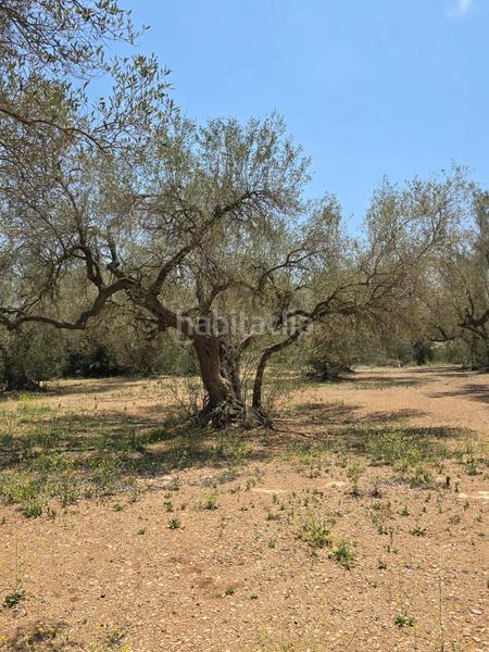 Foto ad7d8e55-dff7-44b8-9bf8-769591042e85. Finca rústica  en Mas de Barberans