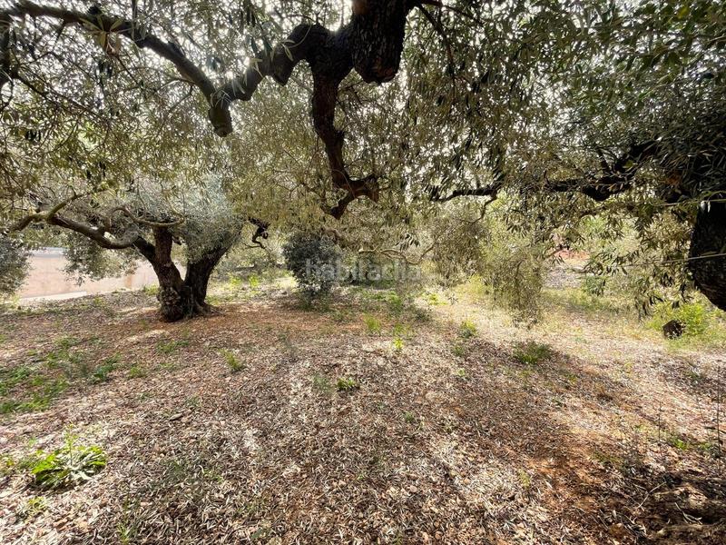 Foto bde69854-5f32-418c-9995-f9a670bed57c. Finca rústica  en Mas de Barberans