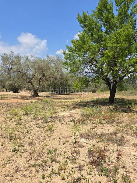 Foto d2f20a1c-7e14-469f-9d73-0d739589ddd5. Finca rústica  en Mas de Barberans