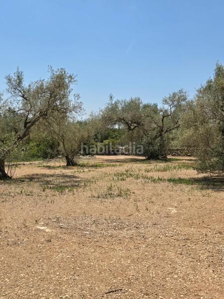 Foto fad0b3ae-37f6-40fc-a768-40e13d16328f. Finca rústica  en Mas de Barberans