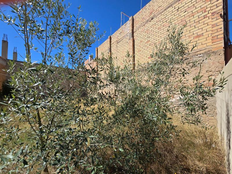 Foto f31b6fb1-d52c-4c63-a044-d5144f8732a8. Terrain résidentiel dans Centre Sant Carles de la Ràpita