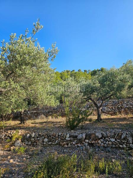 Foto 15b259ee-4894-411a-8fa6-a78e38131996. Finca rústica a Nord Sant Carles de la Ràpita