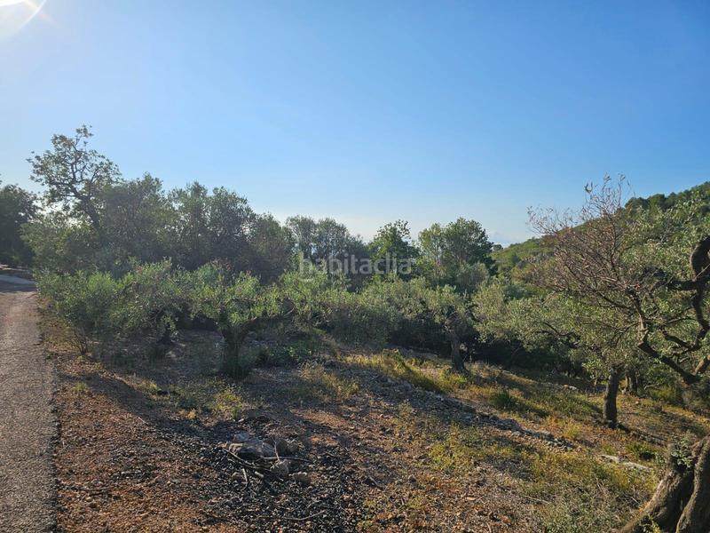 Foto 30c4da06-8956-4dcb-80d3-dae300c8d74a. Finca rústica a Nord Sant Carles de la Ràpita