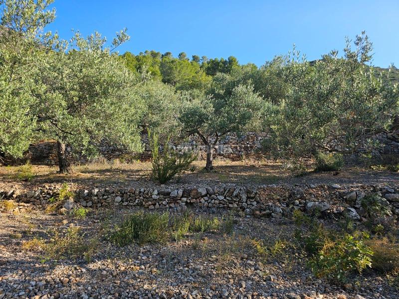 Foto 4035bf91-f9da-42e8-bb4f-2969761f127f. Finca rústica a Nord Sant Carles de la Ràpita