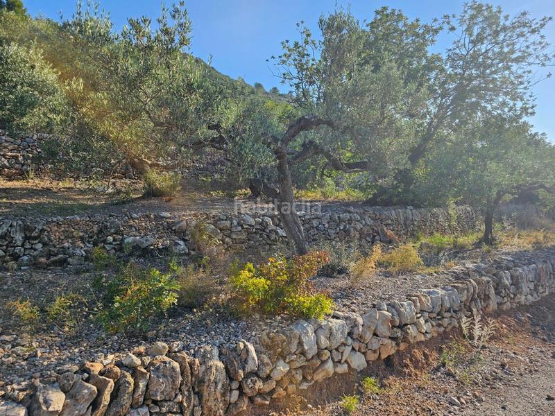 Foto 5ae0a9cb-9dac-4be0-9396-f6d21badcb17. Finca rústica a Nord Sant Carles de la Ràpita