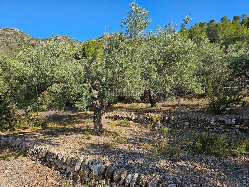 Foto c8206b66-6ce5-4cd2-9a75-a22abc538fb1. Finca rústica a Nord Sant Carles de la Ràpita