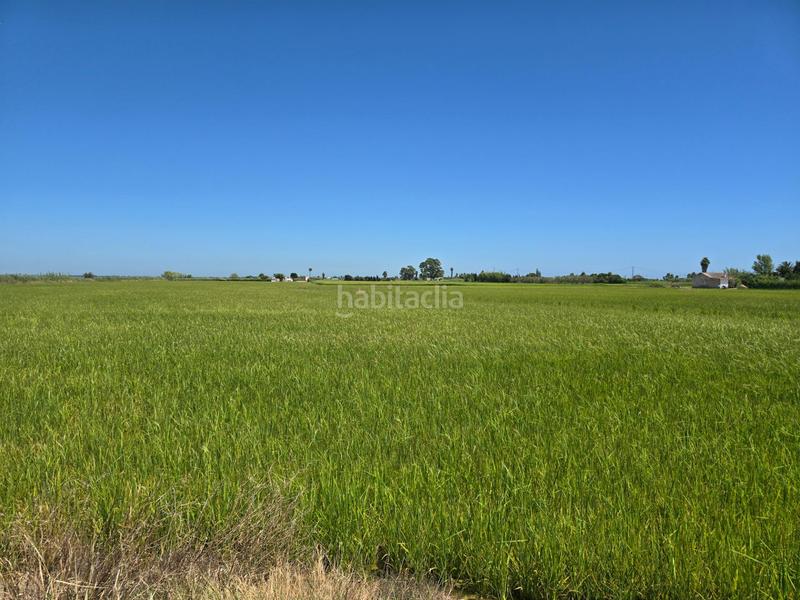 Foto 3f555621-cbc0-4e08-8050-bbb22fe6c77f. Propriété dans Eucaliptus - Poble Nou del Delta Amposta