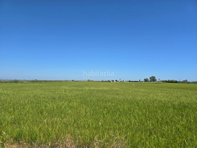 Foto 59371f01-a3c1-4fd9-b827-5e80ab0ddd9a. Propriété dans Eucaliptus - Poble Nou del Delta Amposta