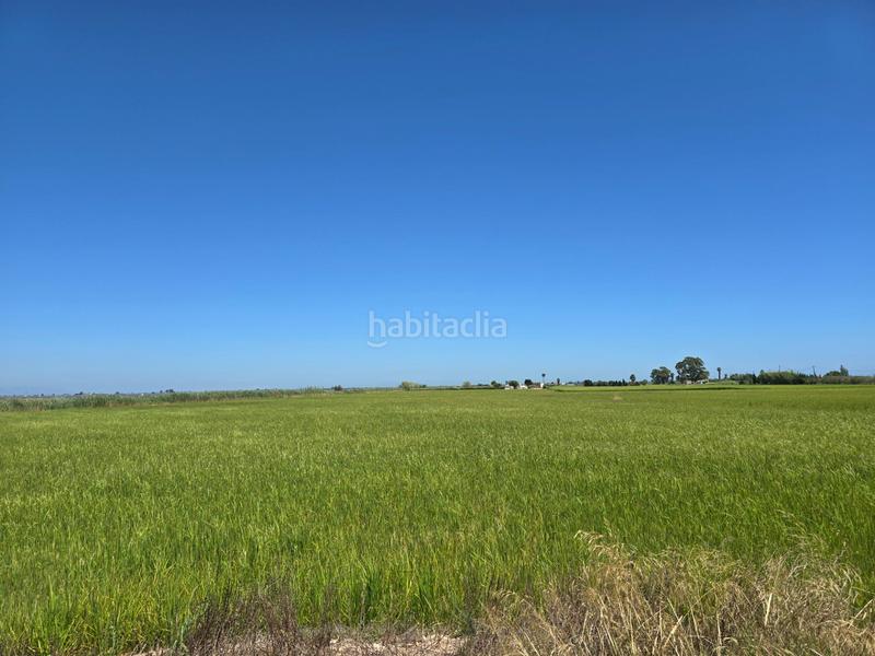 Foto 6c47b551-59c3-4b90-b9e9-c5002179042c. Propriété dans Eucaliptus - Poble Nou del Delta Amposta