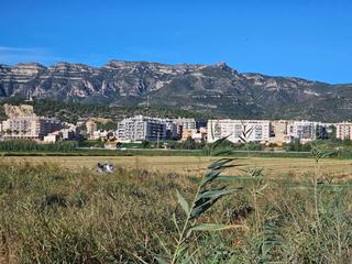 Rural plot in Nord. Finca rústica en la ràpita