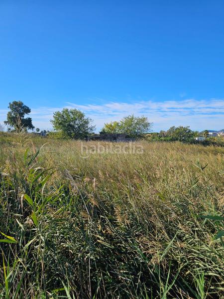 Foto 5559f877-7e36-4d59-9deb-104b0466db97. Finca rústica a Nord Sant Carles de la Ràpita
