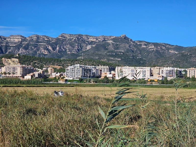 Foto 60b19cd4-ec18-4d01-b51d-678238fccd66. Finca rústica a Nord Sant Carles de la Ràpita