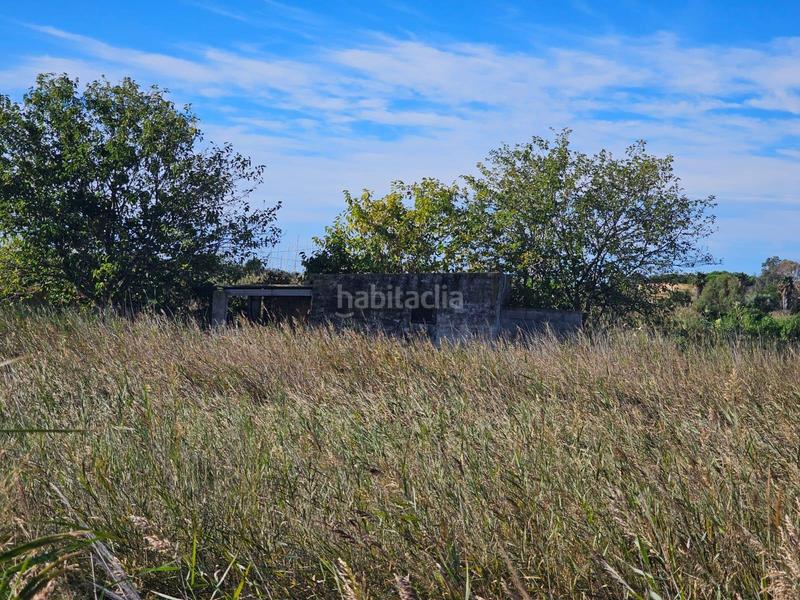 Foto da78ad7a-ea42-4304-a6b5-c3402b009d4b. Finca rústica a Nord Sant Carles de la Ràpita