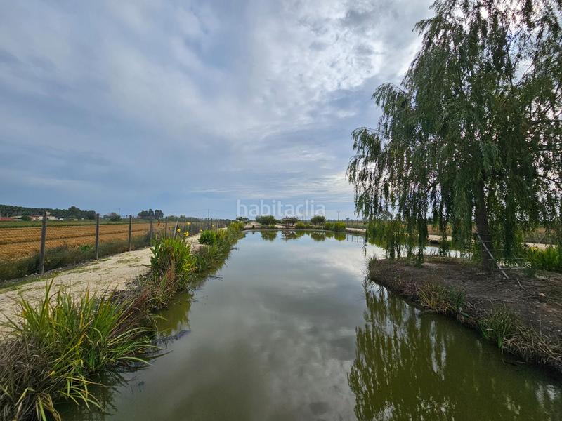 Foto 2d6761e3-5e92-43b8-aab1-6beafcafb9e6. Masía espectacular barraca cerca de ullas en Eucaliptus - Poble Nou del Delta Amposta