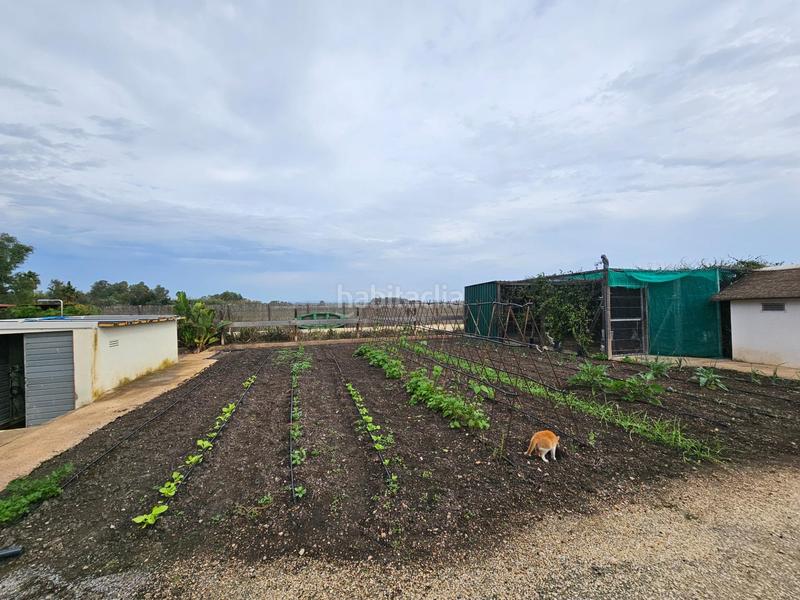 Foto 52703542-10c2-401a-b84b-85a421b727b7. Masía espectacular barraca cerca de ullas en Eucaliptus - Poble Nou del Delta Amposta